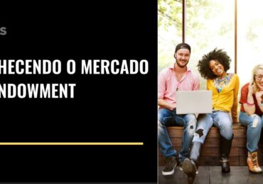 Você sabe o que é um Investidor Endowment?