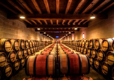 Vive la France! O vinho fino como investimento
