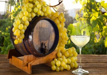 Investir em Vinhos: um Passion Asset