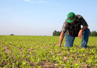 Cédula de Produto Rural | Tudo o que você precisa saber