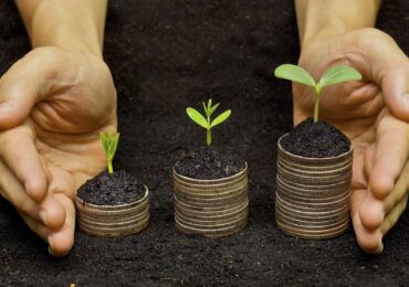 Investimento de impacto aumenta rentabilidade e diversifica carteira