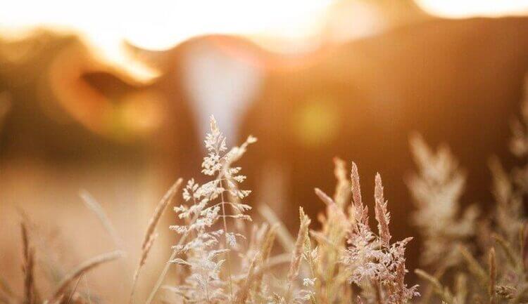 empresa de energia na bolsa