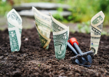 Venture capital: entenda como funciona o investimento direto em novas empresas