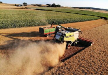 Agronegócio brasileiro cresce na pandemia e deve bater novos recordes em 2021