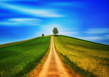 Falta de crédito mostra importância do crowdfunding para o agronegócio