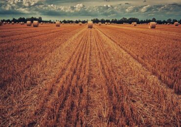 Commodities disparam no exterior e puxam crescimento da economia brasileira