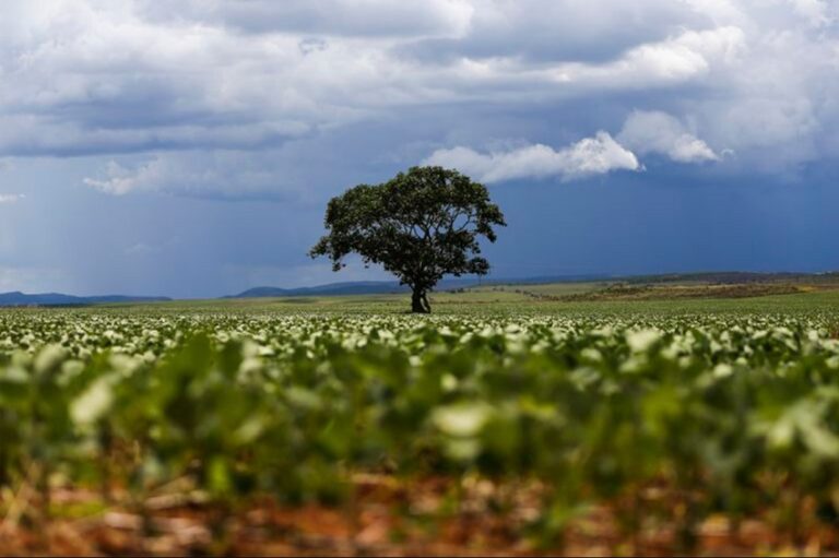 agronegócio recorde 2021