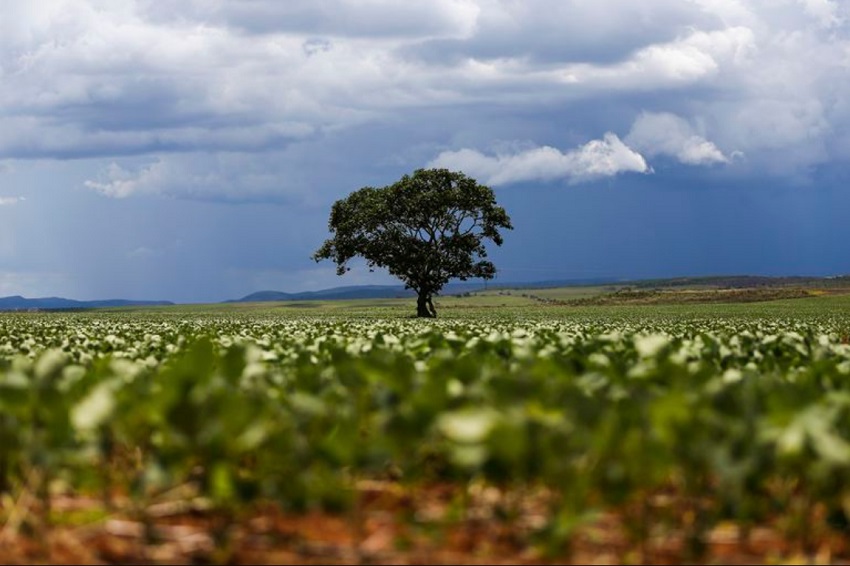 agronegócio recorde 2021