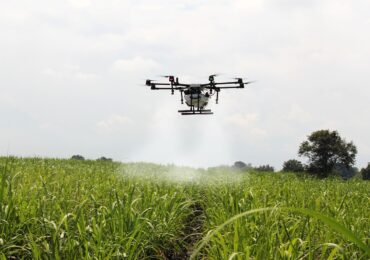 Commodities agrícolas: complexo sucroalcooleiro dá salto histórico na balança comercial
