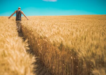 Banco Mundial prevê forte valorização das commodities neste ano