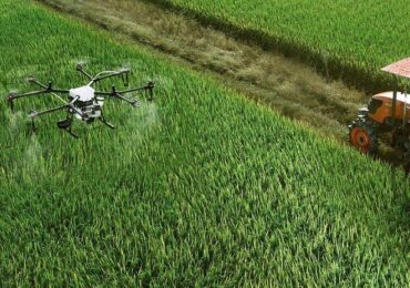 Pronaf: saiba o que é e como conseguir crédito rural