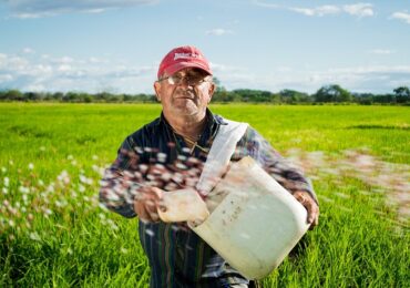 Produção de grãos e carnes pode crescer até 30% na próxima década