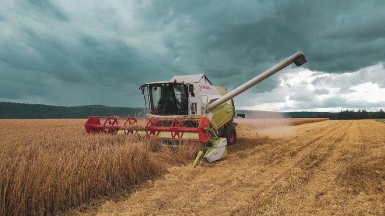 colheita, trator