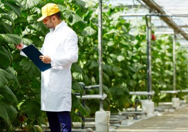 Crowdfunding é alternativa para suspensão de novas linhas de crédito rural do BNDES