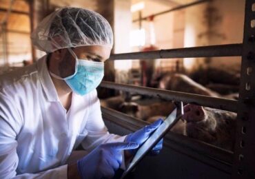 Tecnologia entra com tudo no agronegócio e procura por agritechs dispara