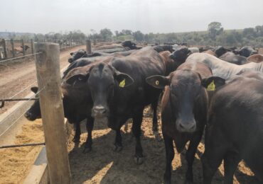 Sobre CONHECIMENTO e ser parte de NEGÓCIOS na economia real