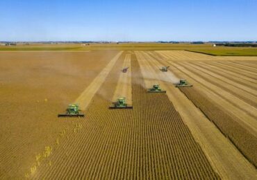 Investimento público no agronegócio cai cada vez mais no Brasil
