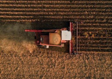 Perspectivas e desafios para o agronegócio em 2022