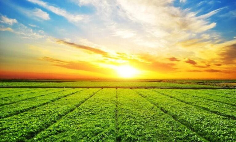 crédito rural para compra de terras