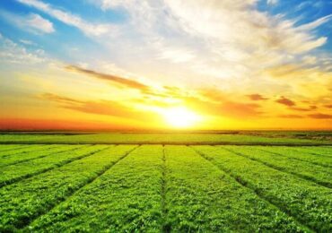 Precisa de financiamento rural para aquisição de terras? A Bloxs pode te ajudar; saiba como