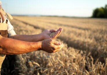 Cédula de Crédito Rural: entenda tudo sobre esse título de financiamento rural