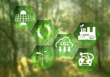 Crédito de carbono: conheça esse mercado que pode dobrar de tamanho em breve