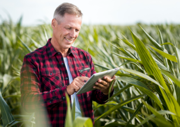 Fiagro: saiba o que é e como financiar sua produção via fundos do agronegócio