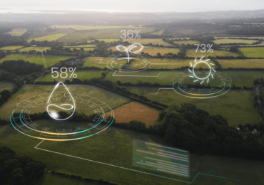 Brasil será potência no mercado de carbono, afirma McKinsey; saiba como investir
