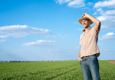 Plano Safra 22/23: saiba se vale a pena captar recursos pelo programa