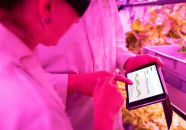 Estudos ESG comprovam: grandes gestores não abrem mão deste critério de investimento