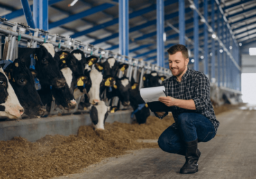 6 coisas que todo pecuarista precisa acompanhar além do preço da arroba do boi