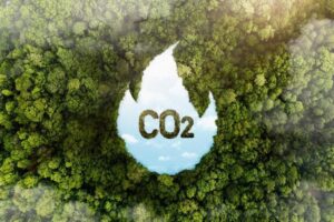 investimento em credito de carbono