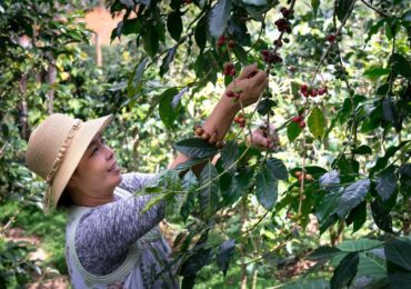 Projeto Ouro Negro Agro melhora expectativa de retorno para investidores da Bloxs