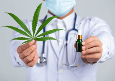 Vale a pena investir em cannabis medicinal com o fundo Trend Cannabis FIM?