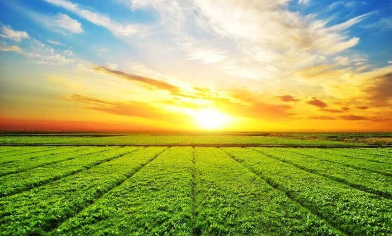 crédito rural para iniciantes