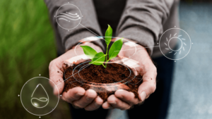 estudo crédito de carbono