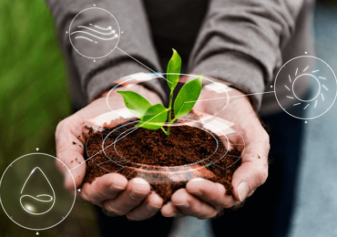 Brasil pode concentrar 15% do mercado mundial de créditos de carbono, diz estudo