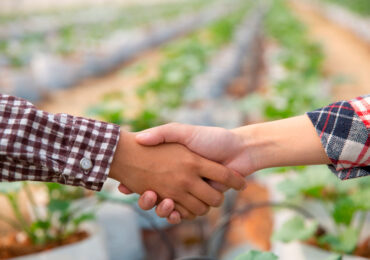 Vantagens de investir no agronegócio