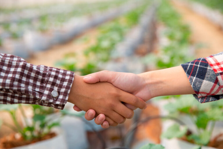 duas mãos se cumplimentando após o fechamento de um novo investimento em agronegócio