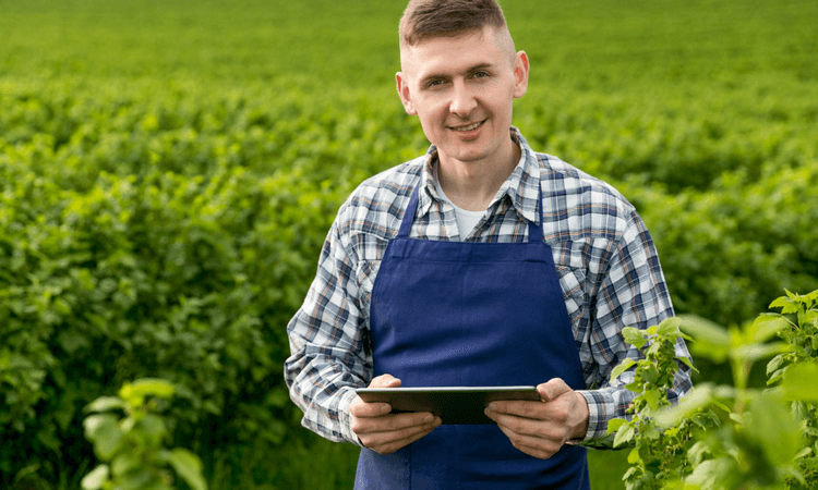 agronegócio no mercado financeiro