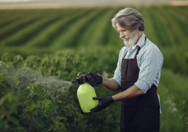 Mercado de biodefensivos deve crescer 10x em 10 anos; vale a pena investir?