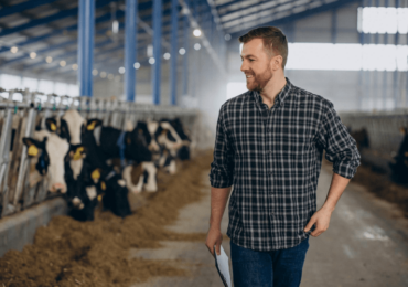 Financiamento para o agronegócio no mercado de capitais pode atingir R$ 600 bi