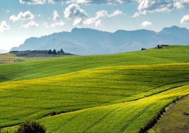 Fiagro: cotistas superam 200 mil, e interesse pelo agro não para de crescer