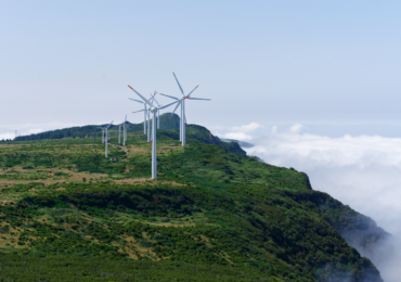 Brasil pode gerar R$ 26 bi por ano com créditos de carbono; e grandes  investidores estão de olho nisso