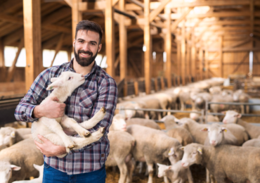 Fiagro-FIDC x CRA: qual opção de crédito agropecuário é mais competitiva?