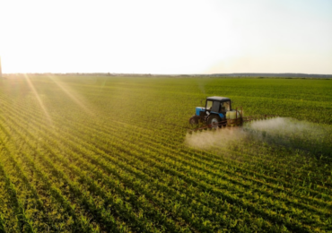 Mercado de capitais não pode ficar restrito a grandes produtores, defende economista Jorge Chaia