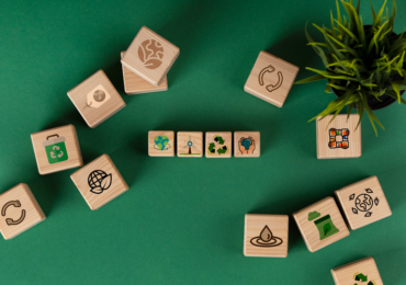 "Pacote verde" do governo pode impulsionar investimentos em energia renovável?