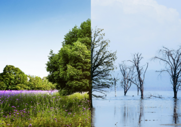 Desafios e oportunidades: como seus investimentos podem combater o aquecimento global?