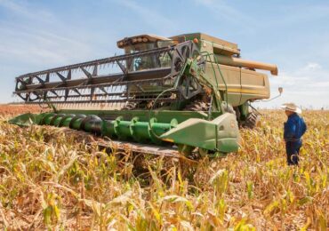 Safra de grãos no Brasil atingirá volume sem precedentes: 317,6 milhões de toneladas