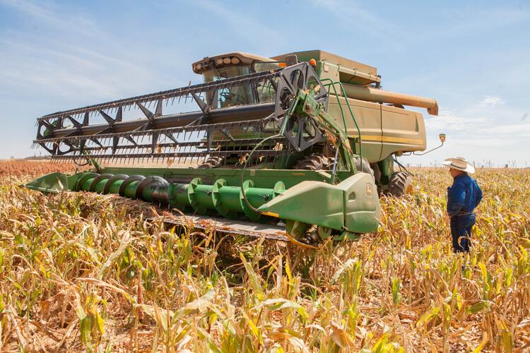 safra recorde de grãos agronegócio